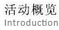 活动概览
