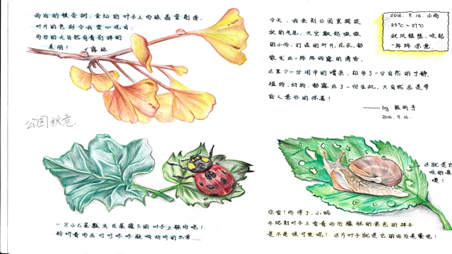 “人与自然——探究”青少年主题活动