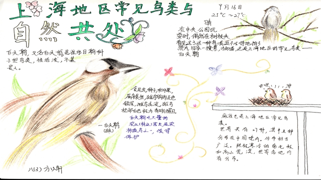“人与自然——探究”青少年主题活动