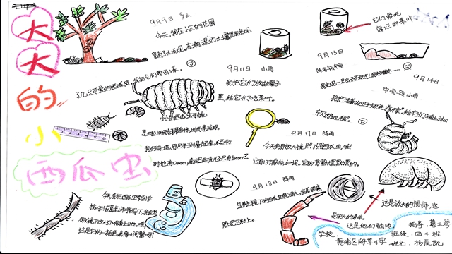 “人与自然——探究”青少年主题活动