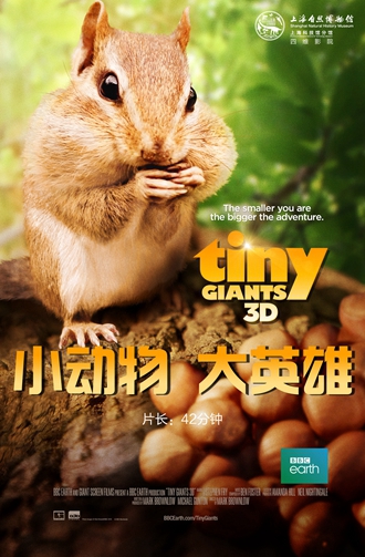 小动物 大英雄（自博）