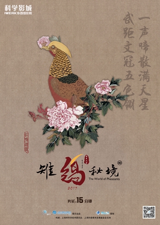 雉鸡秘境
