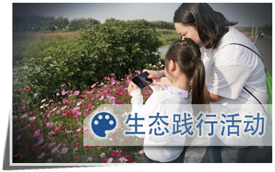 生态践行活动